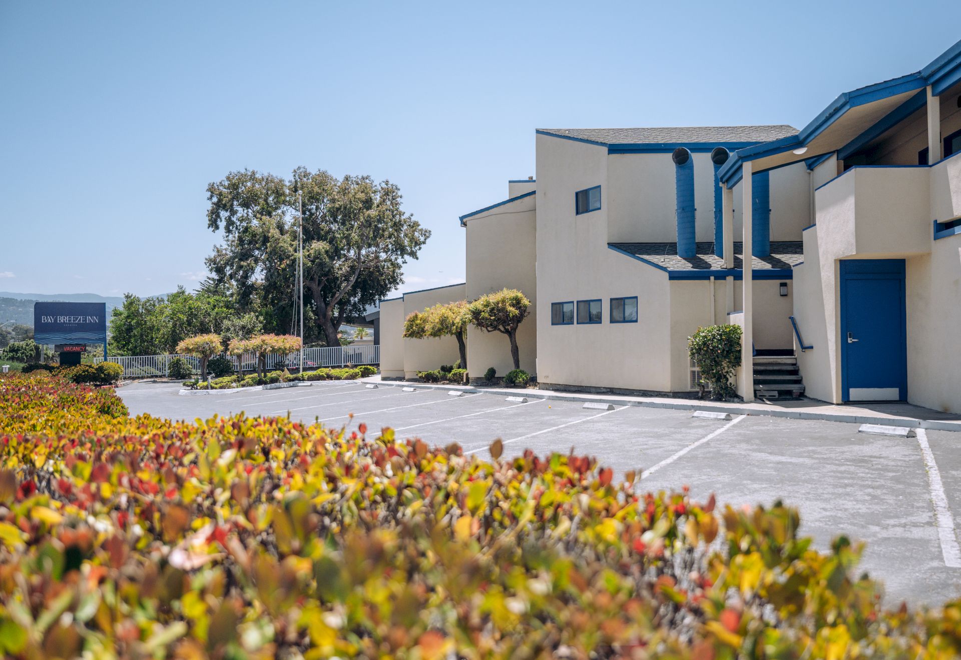 An empty parking lot in front of a beige building with blue trim, surrounded by colorful bushes and a clear blue sky.