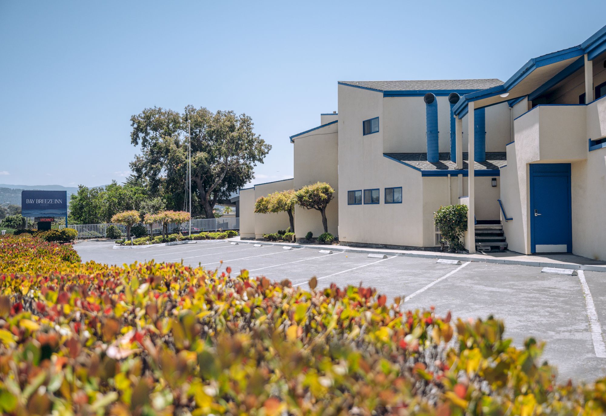 An empty parking lot in front of a beige building with blue trim, surrounded by colorful bushes and a clear blue sky.