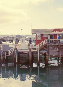 A coastal scene shows a wooden pier with buildings labeled "Monterey Bay Whale Watch Center" reflecting on calm water.