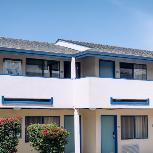 A two-story motel with blue trim and a small landscaped front, a seagull flying overhead in a clear blue sky.
