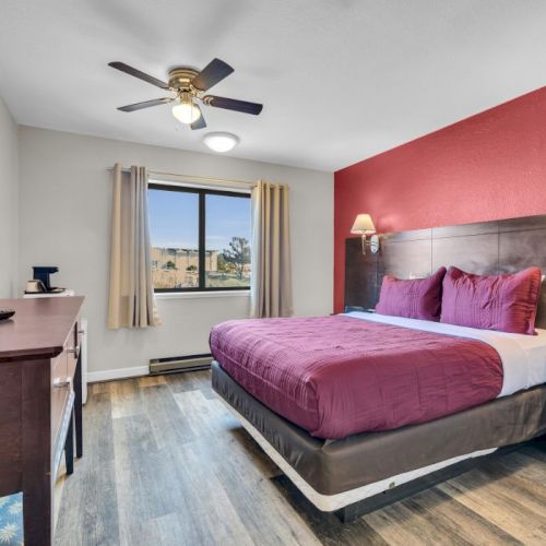 A hotel room with a bed, TV, dresser, window, ceiling fan, and red accent wall.
