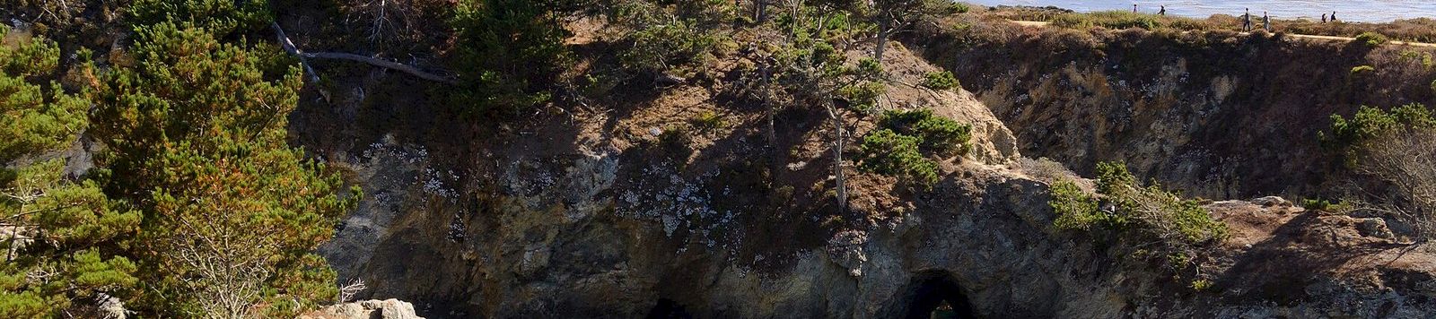 Rocky coves and cypress trees at Point Lobos State Natural Reserve
