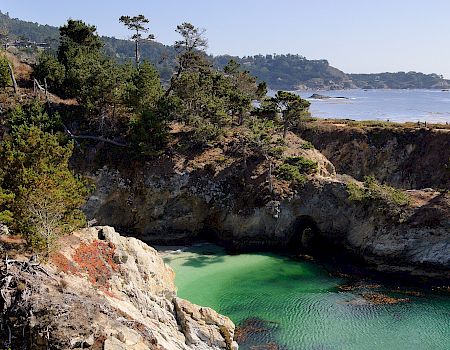 Rocky coves and cypress trees at Point Lobos State Natural Reserve